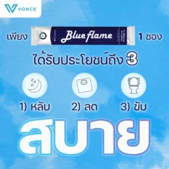 blue-flame-vflame-บูล-เฟลม-วีเฟลม-4