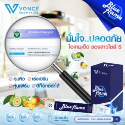 blue-flame-vflame-บูล-เฟลม-วีเฟลม-7