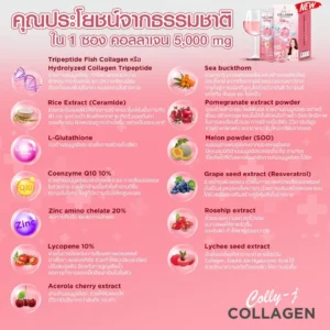 colly-j-collagen-คอลลี่เจ-คอลลาเจน-3