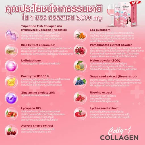 colly-j-collagen-คอลลี่เจ-คอลลาเจน-3