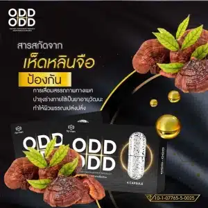 Odd Odd อ๊อดอ๊อด อาหารเสริมผู้ชาย 17