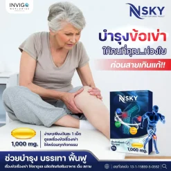 Nsky เอ็นสกาย บำรุงข้อเข่า อาหารเสริมข้อเข่าเสื่อม