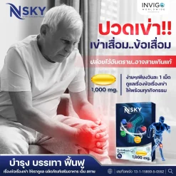 Nsky เอ็นสกาย อาหารเสริมบำรุงข้อเข่าเสื่อม ปวดข้อ ปวดเข่า