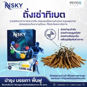 Nsky เอ็นสกาย อาหารเสริมบำรุงเข่าเสื่อม อาหารเสริมกระดูกและข้อ