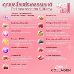 ส่วนผสมใน Collyj Collagen คอลลี่เจ คอลลาเจน