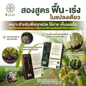 4LEAF ปุ๋ยเร่งใบเขียว ฟื้นต้นพืช ใบเหลือง