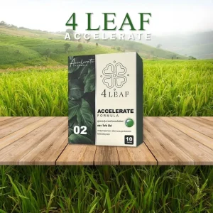 LEAF ACCELERATE FORMULA 02 สูตรเร่งใบเขียว กระตุ้นดอก เพิ่มผลผลิต เห็นผลเร็ว_2