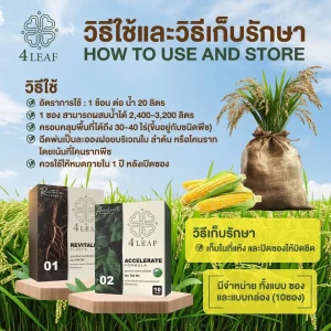 วิธีใช้ปุ๋ยเร่งราก 4LEAF