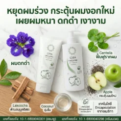 วิธีแก้ผมร่วง-ผมบาง-ด้วยแชมพู-chia-organic