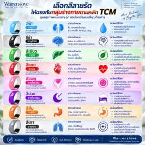 คู่มือเลือกสี Warrenslove สีไหนดีตาม 5 ธาตุ